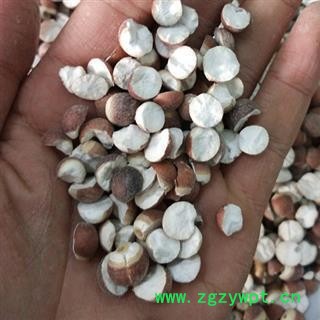 芡实 0.9厘芡实两半  产地 广东省图2