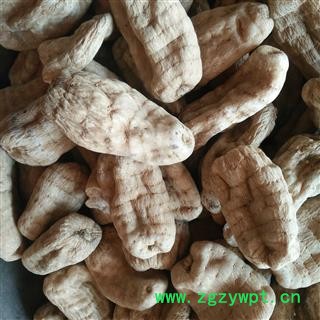 天麻 纯野生春麻大个  云南昭通天麻  产地 云南省图2