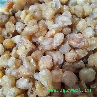 桂圆肉  无糖纯干 选 产地 广西壮族自治区图3