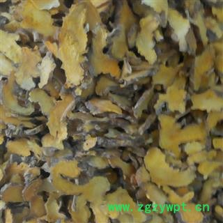 射干  河北统片  产地 河北省邯郸市丛台区图4