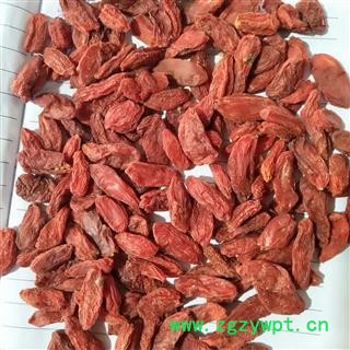 枸杞 宁夏枸杞380 产地 青海省图2