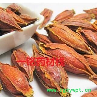 栀子 水栀子统个 产地 四川省图2