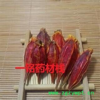 栀子 水栀子统个 产地 四川省图3