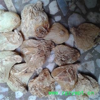 扁白芨 净货 产地 贵州省黔西南布依族苗族自治州安龙县图3