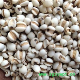 薏仁 国产薏苡仁98米 产地 贵州省铜仁市图2
