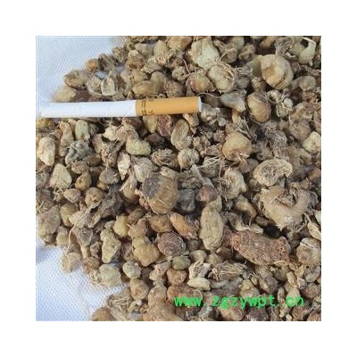 山慈菇 0.4筛子以上选货 产地 云南省大理白族自治州洱源县