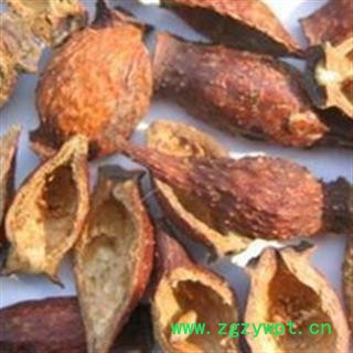 金樱子  精选金樱子 个 前期货 产地 江西省九江市图4