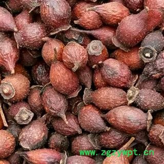 金樱子  精选金樱子 个 前期货 产地 江西省九江市图2