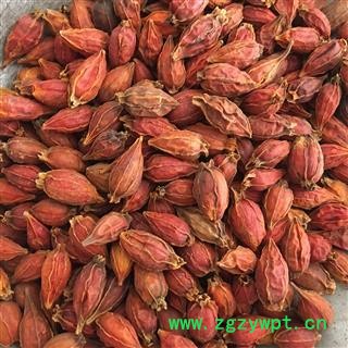 栀子 选个 色红 实拍图 新货 产地 福建省泉州市图2