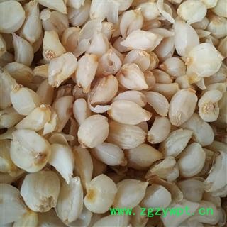 百合 甜百合 百合干 食用百合 兰州百合  产地 甘肃省图2