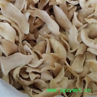 百合 龙牙百合 产地 湖南省图2