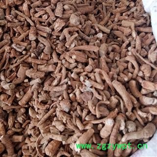 三七 三七无数头 产地 云南省图2