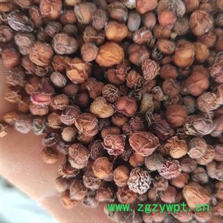 南五味子 选货  大颗粒 无杂质无杆  产地 辽宁省图2