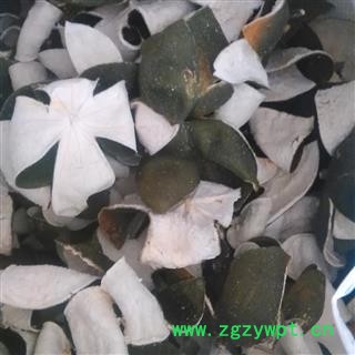 四花青皮 片1000克促销批发四花青皮绿色选个 产地 福建省图3