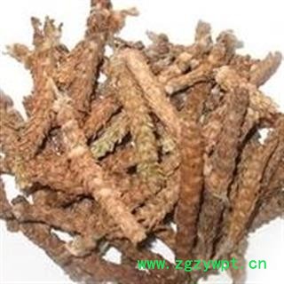 夏枯球 夏枯球统货 产地 安徽省亳州市图3