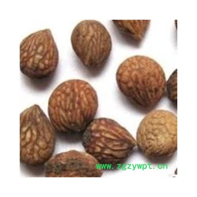 蕤仁 蕤仁统货 产地 山西省