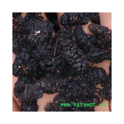 桑葚子 桑椹大选货 产地 山东省