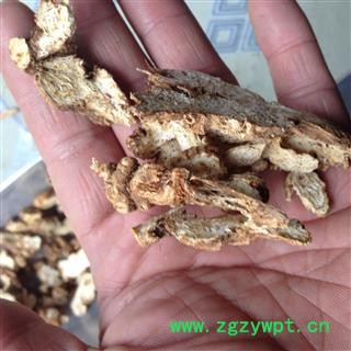 苍术 赤术 东北货 产地 辽宁省 家种货图4