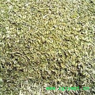 小茴香 小茴香净货选大货批发价 产地 广西壮族自治区图2