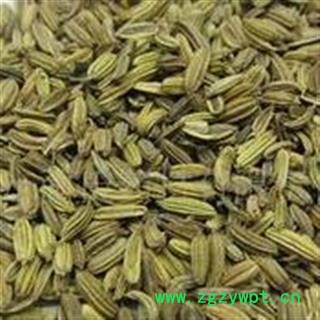小茴香 小茴香净货选大货批发价 产地 广西壮族自治区图3