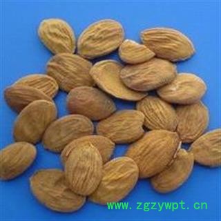 桃仁 大统货1000克促销批发价 产地 山西省 大货批发价图2