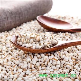 薏苡仁 薏苡仁精选小米1000克促销批发 产地 贵州省图2