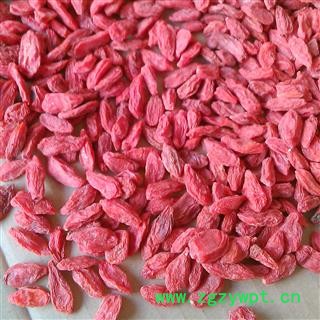 枸杞 选装150粒 产地 宁夏回族自治区固原市图2