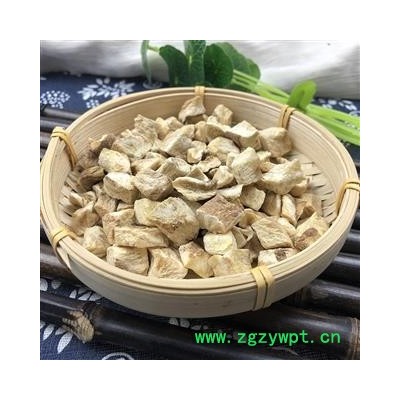 菊苣根 统货 产地 辽宁省