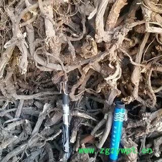 羌活 选货 产地 四川省 凯捷中药图2