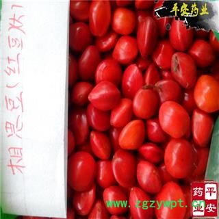 相思豆 孔雀豆 红豆 相思红豆 正品 大100小24 大红豆 大相思豆图2
