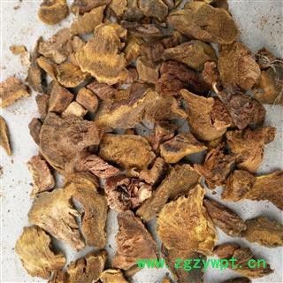 大黄 10.0筛子以下 产地 甘肃省陇南市礼县图4