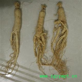 人参 生晒参45支 产地 吉林省图2
