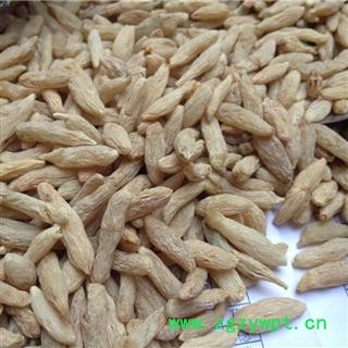 麦冬 川麦冬0.6筛子 产地 四川省图2