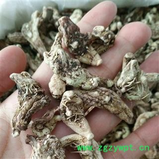 白芨 白及 正品三叉白芨 大选货 产地 贵州省图2