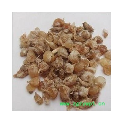 薤白 选货 产地 陕西省