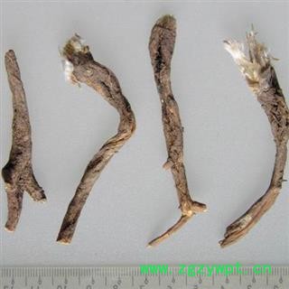 白头翁 白头公 统货产地 黑龙江省七台河市勃利县图2