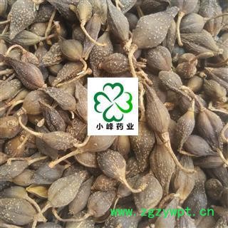 连翘 净货连翘水煮（汽蒸）过0.2筛子无仔 好统货 颜色好 纯干 新货 产地 山西省图2