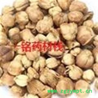 豆蔻 白豆蔻统货 产地 广西壮族自治区图3