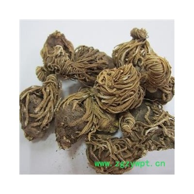 头顶一棵珠 头顶一颗珠  延龄草、芋儿七、狮儿七、三角七、头顶珠、天珠[果实]、地珠 统货