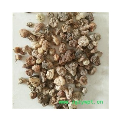 山慈菇 毛慈菇 冰球子 山慈姑 0.8筛子选个 无硫磺 产地 云南省