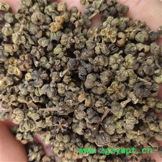 吴茱萸 吴茱萸中花统货  无杆 产地 广西壮族自治区河池市