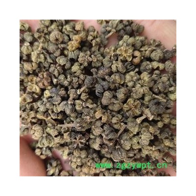 吴茱萸 吴茱萸中花统货  无杆 产地 广西壮族自治区河池市