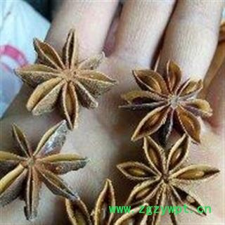 八角 精选 八角  大茴香 产地 广西壮族自治区桂林市图2