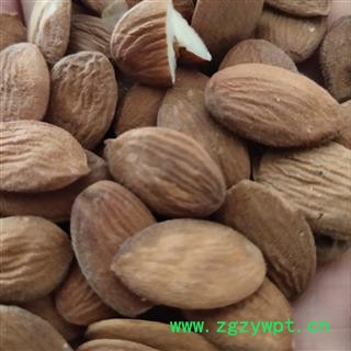 家桃仁  新货 无硫 饱满图2