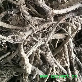 羌活 统个 产地 四川省阿坝图2