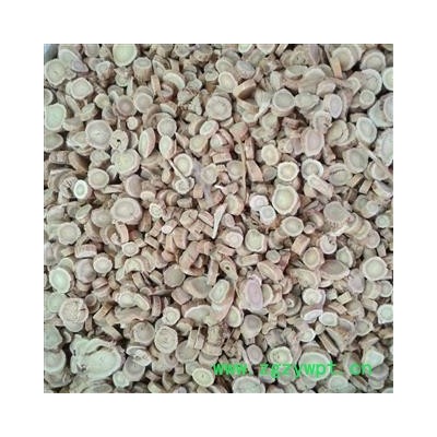 黄芪 圆片选片 产地 甘肃省定西市渭源县