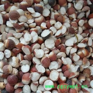 芡实 芡实0.6以上 四开 色红 产地 广东省韶关市图2