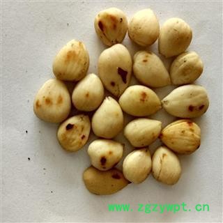 苦杏仁 去皮 炒苦杏仁 产地 河北省保定市图3