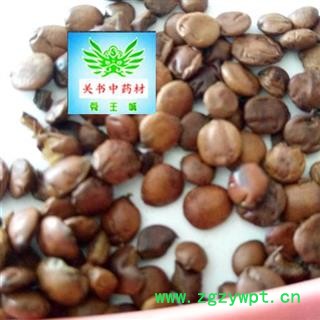 国产枣仁  山东炒酸枣仁 清炒枣仁自家加工 限时促销  净货 有香味 产地  云南图2