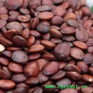 酸枣仁 酸枣仁双面鼓特选货 产地 山东省济宁市汶上县图2